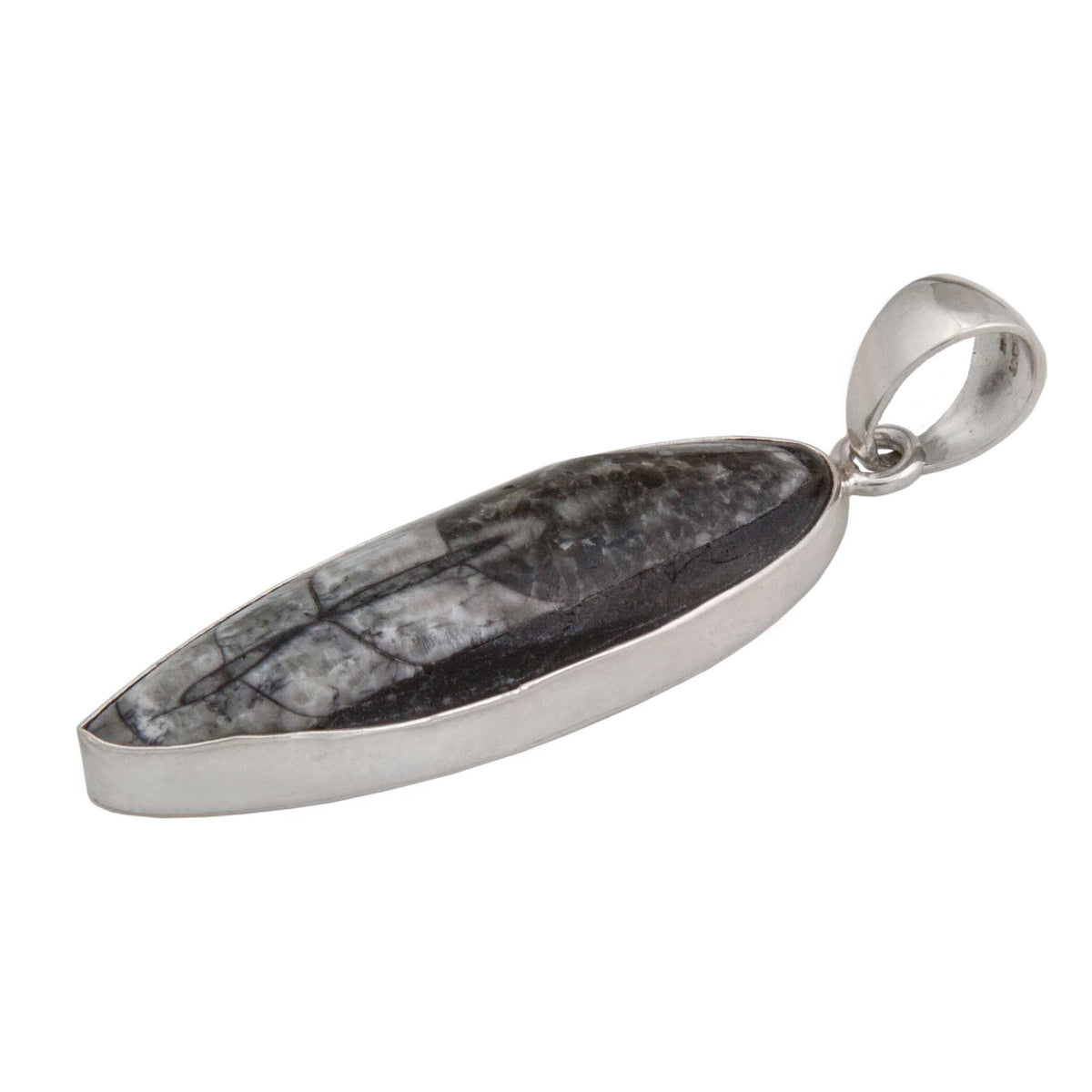 Sterling Silver Orthoceras Pendant | Charles Albert Jewelry