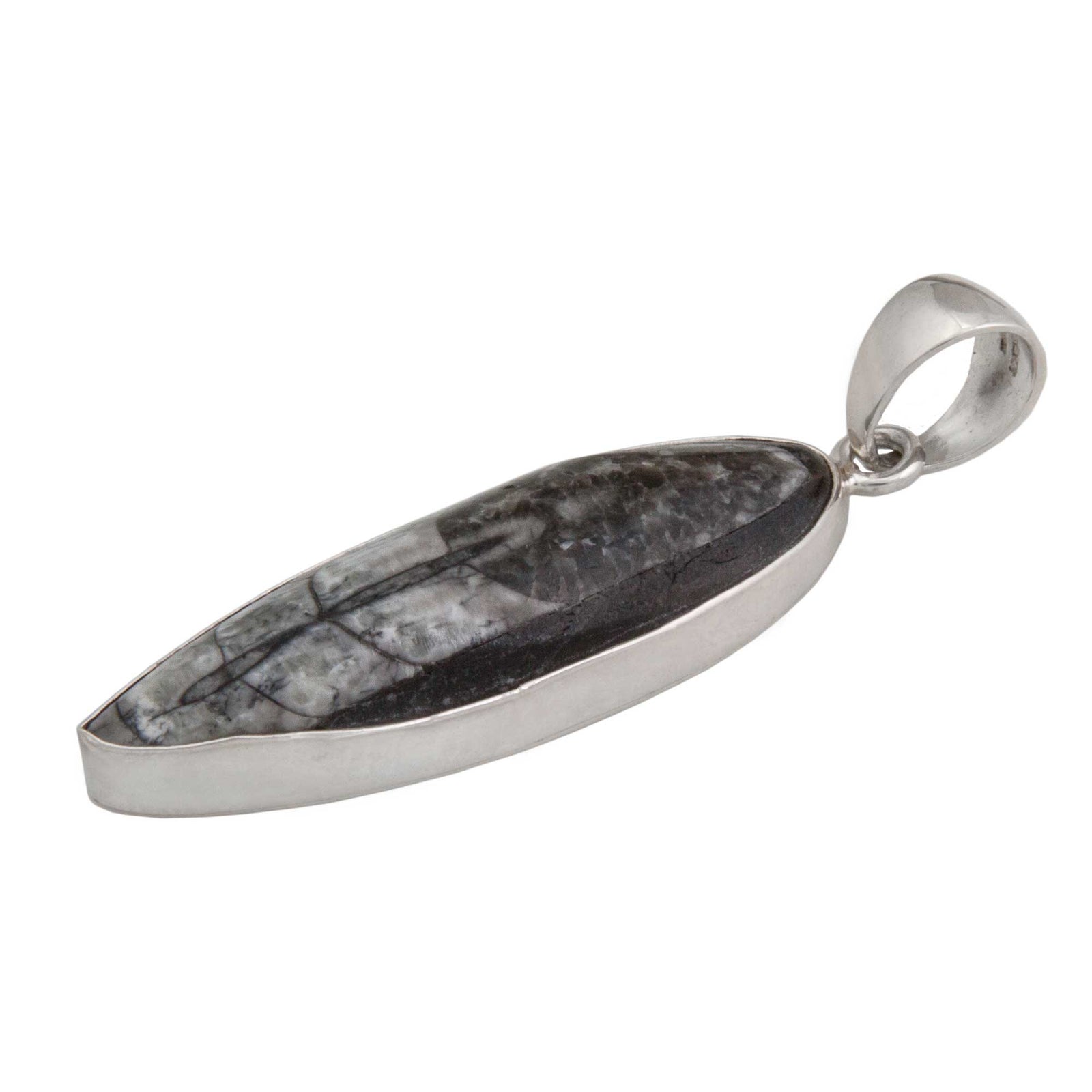 Sterling Silver Orthoceras Pendant | Charles Albert Jewelry