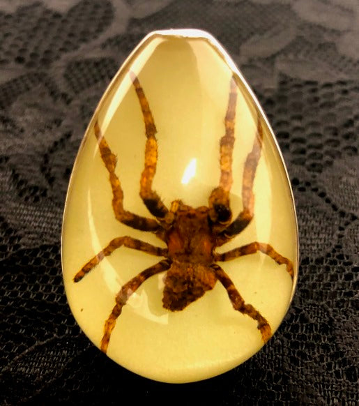 Sterling Silver Recluse Brown Spider Glow in the Dark Adjustable Ring | Charles Albert Jewelry