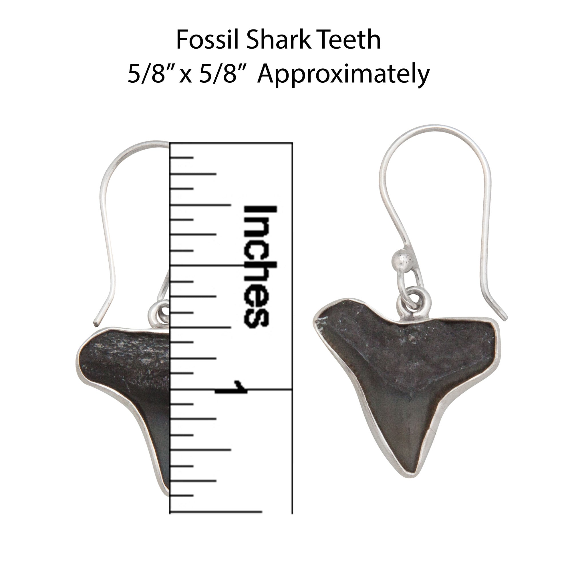 Sterling Silver Fossil Shark Teeth Drop Earrings | Charles Albert Jewelry