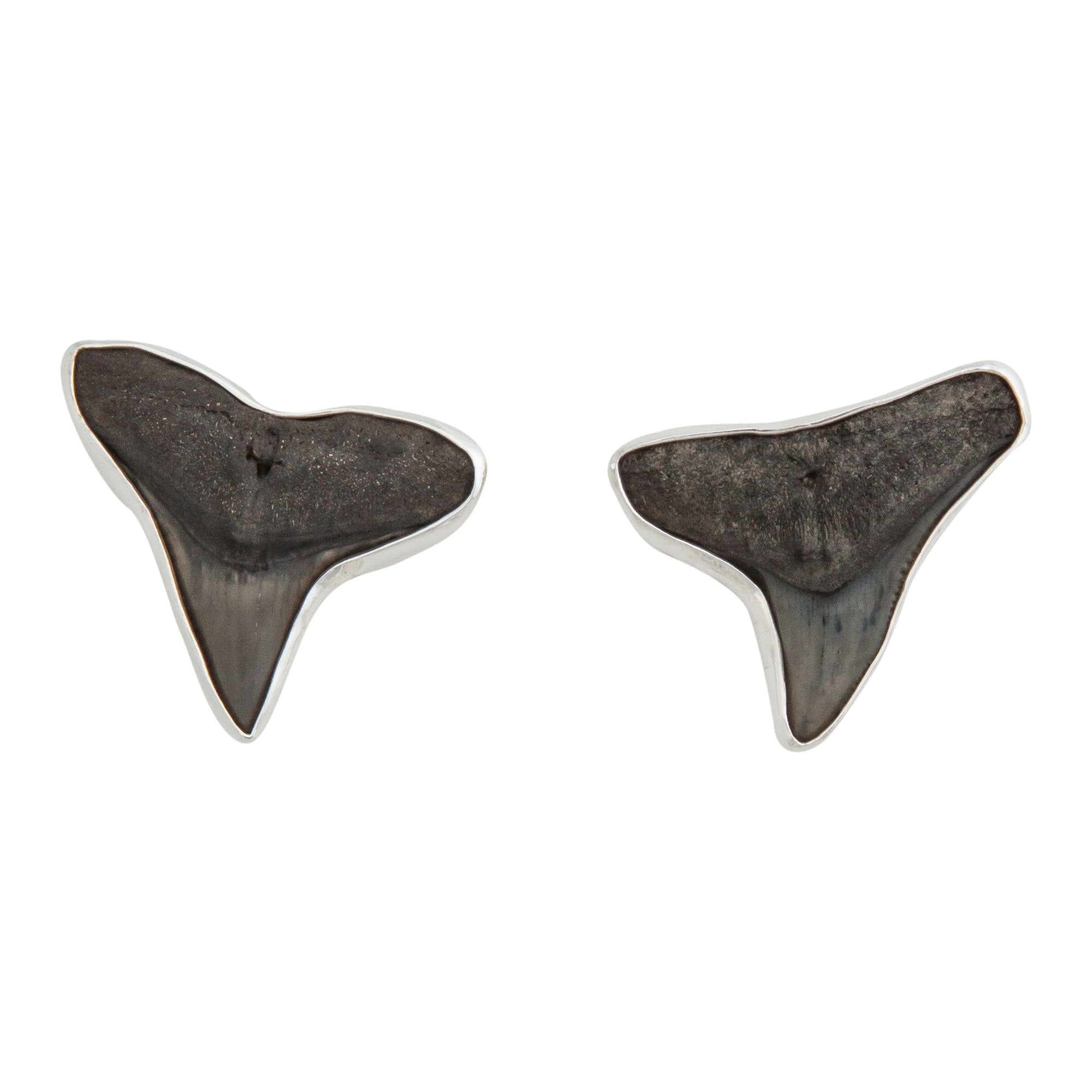 Sterling Silver Shark Teeth Post Earrings | Charles Albert Jewelry