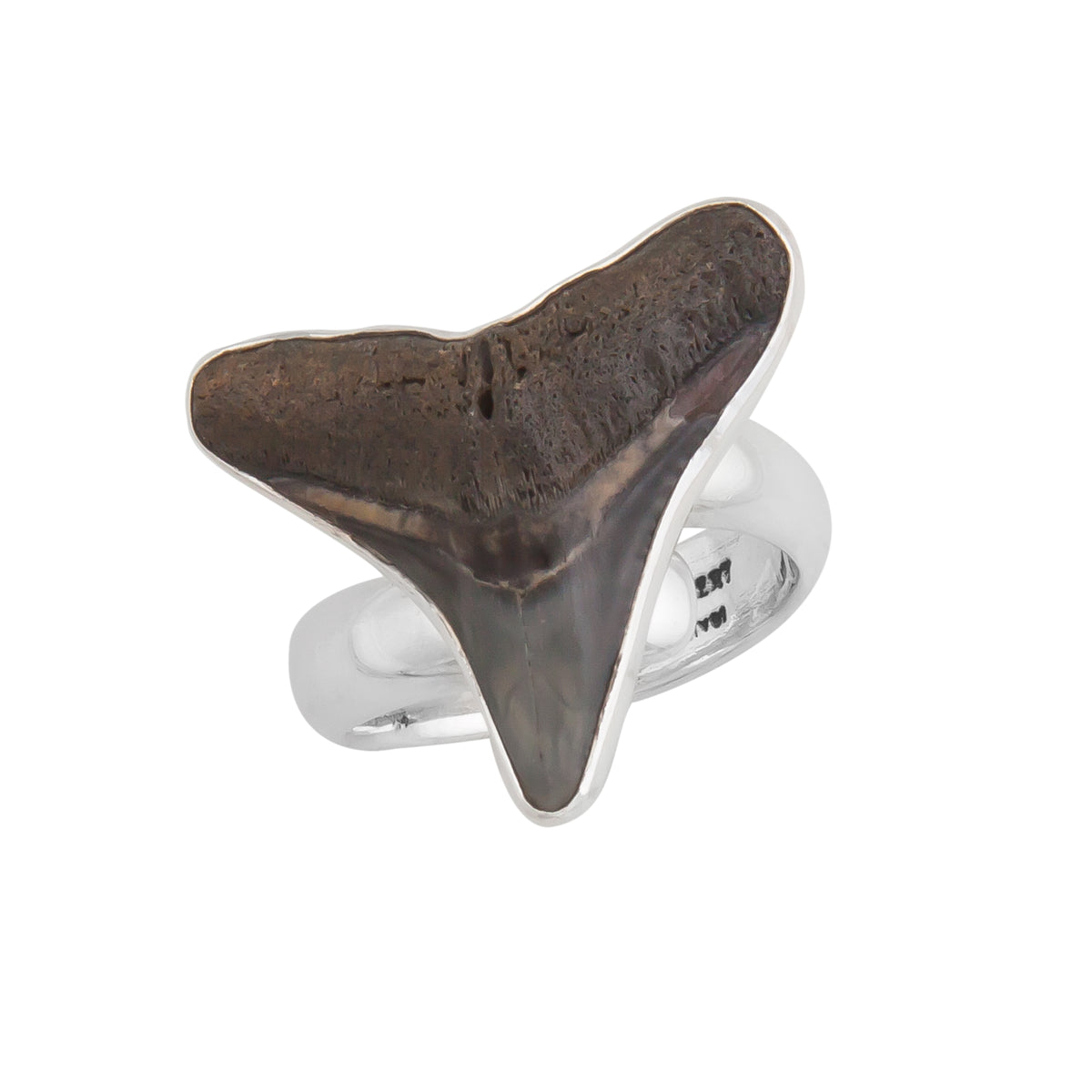 Sterling Silver Shark Tooth Adjustable Ring | Charles Albert Jewelry
