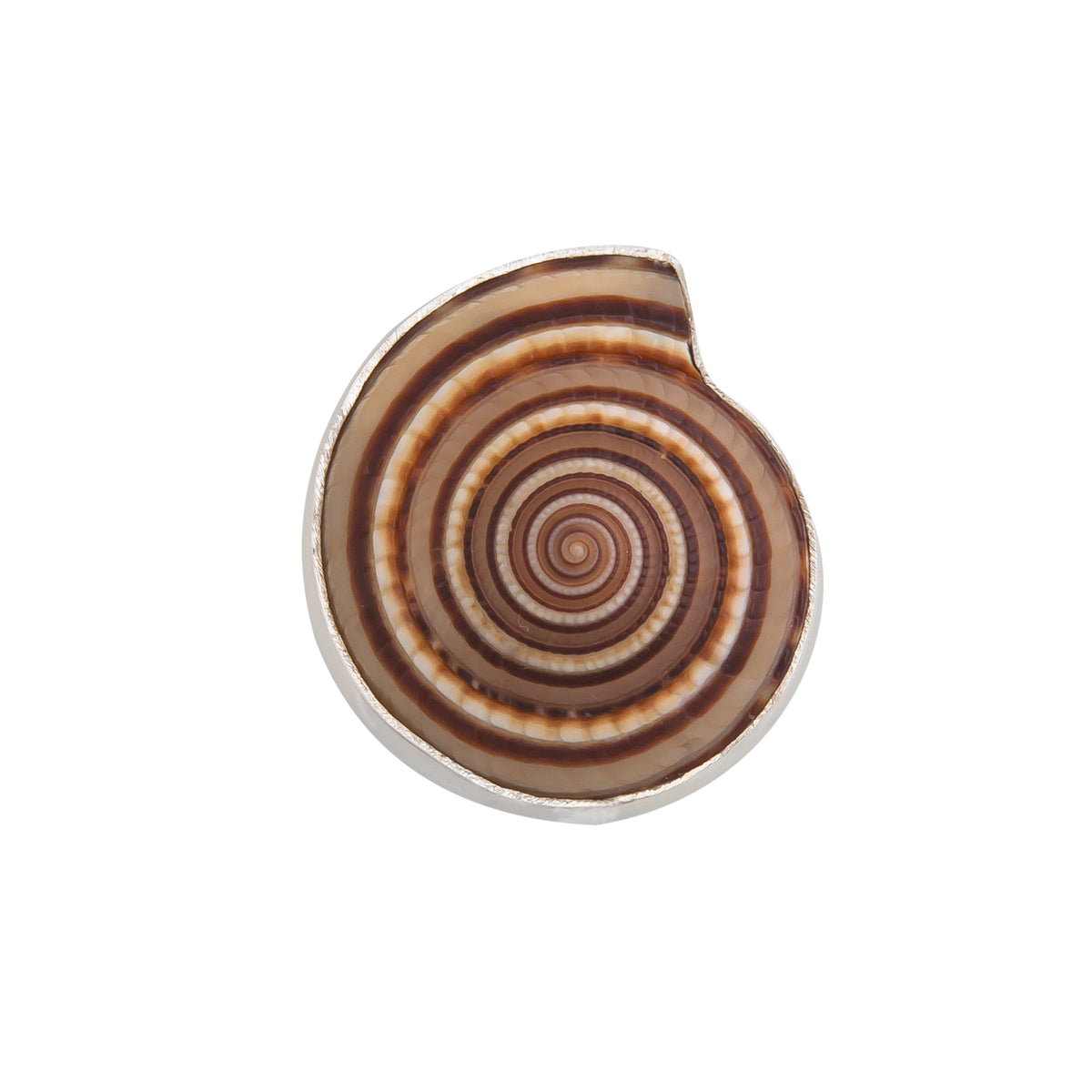 Sterling Silver Sundial Shell Adjustable Ring | Charles Albert Jewelry