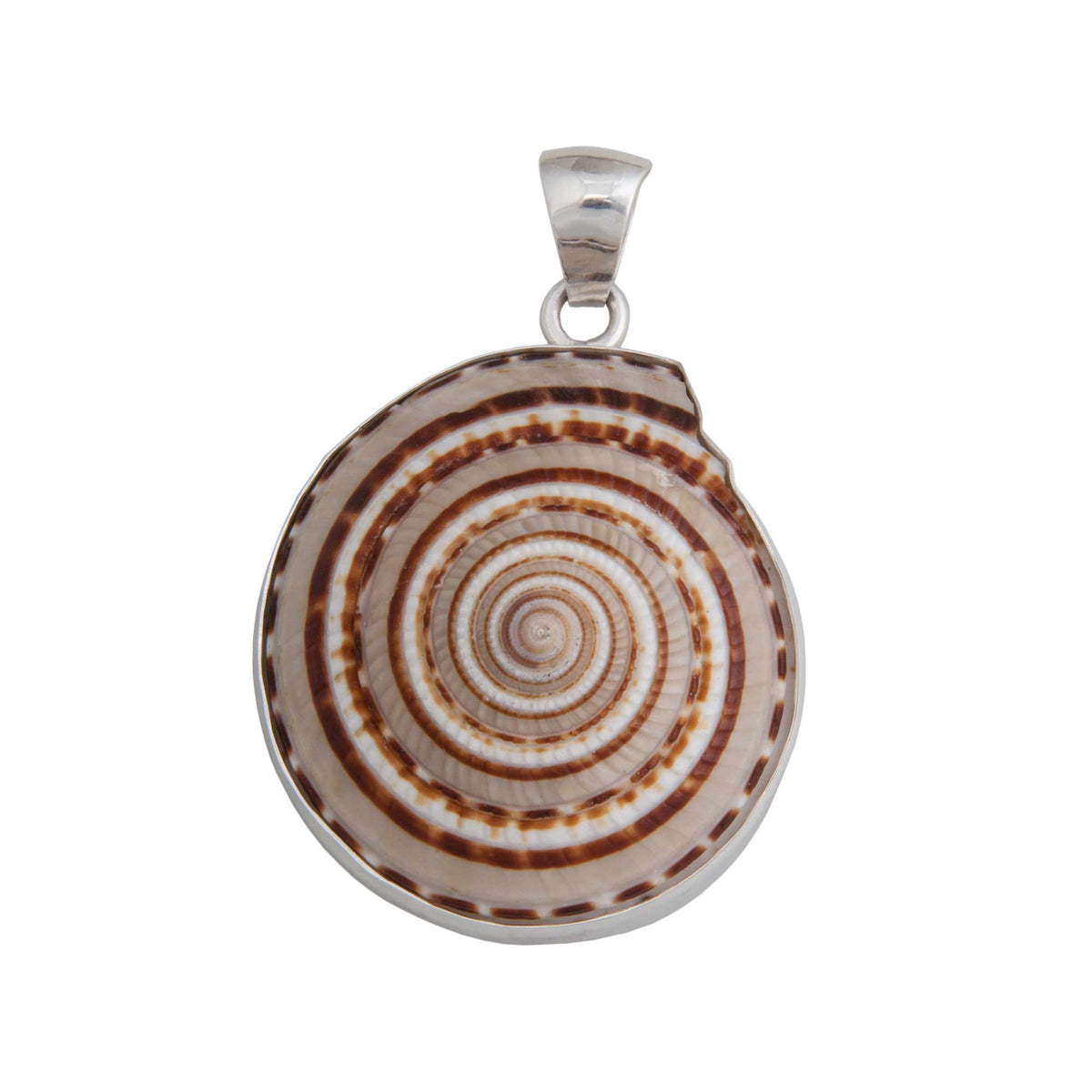 Sterling Silver Sundial Shell Pendant | Charles Albert Jewelry