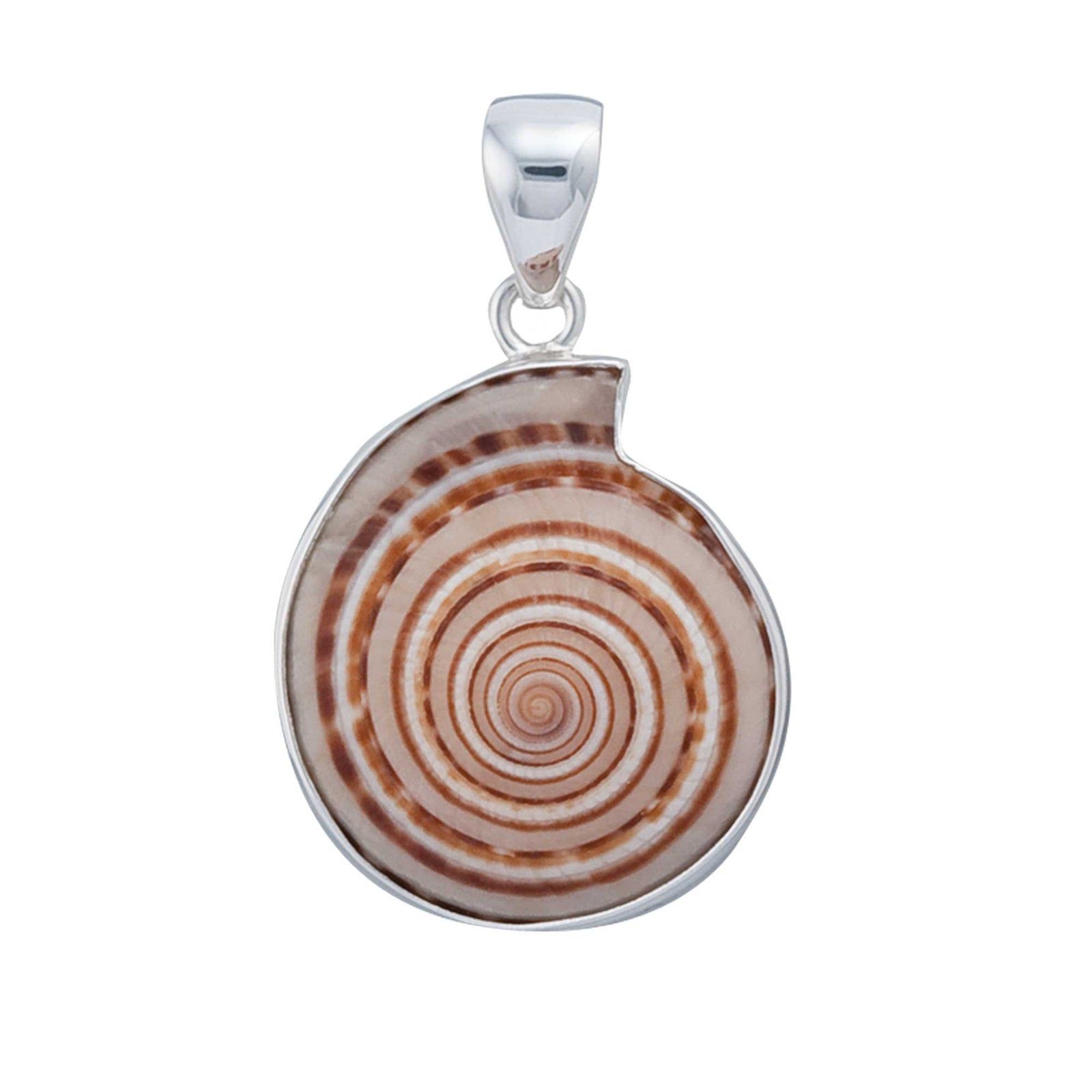 Sterling Silver Sundial Shell Pendant | Charles Albert Jewelry