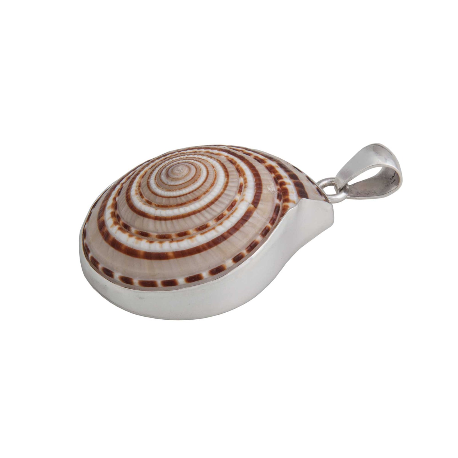 Sterling Silver Sundial Shell Pendant | Charles Albert Jewelry