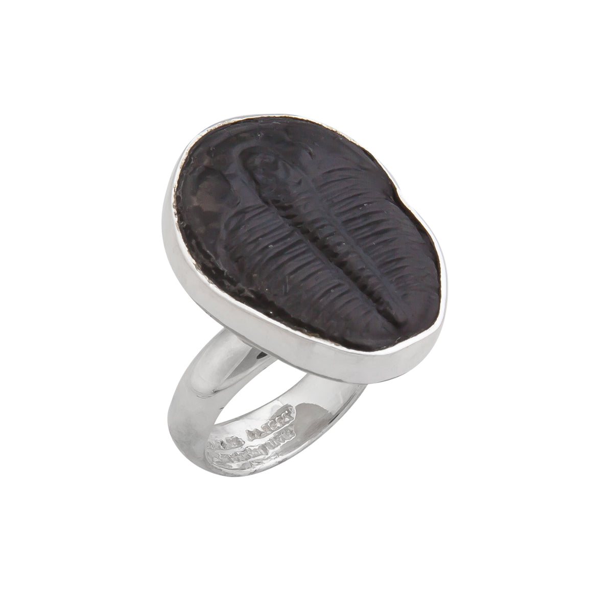 Sterling Silver Trilobite Adjustable Ring | Charles Albert Jewelry