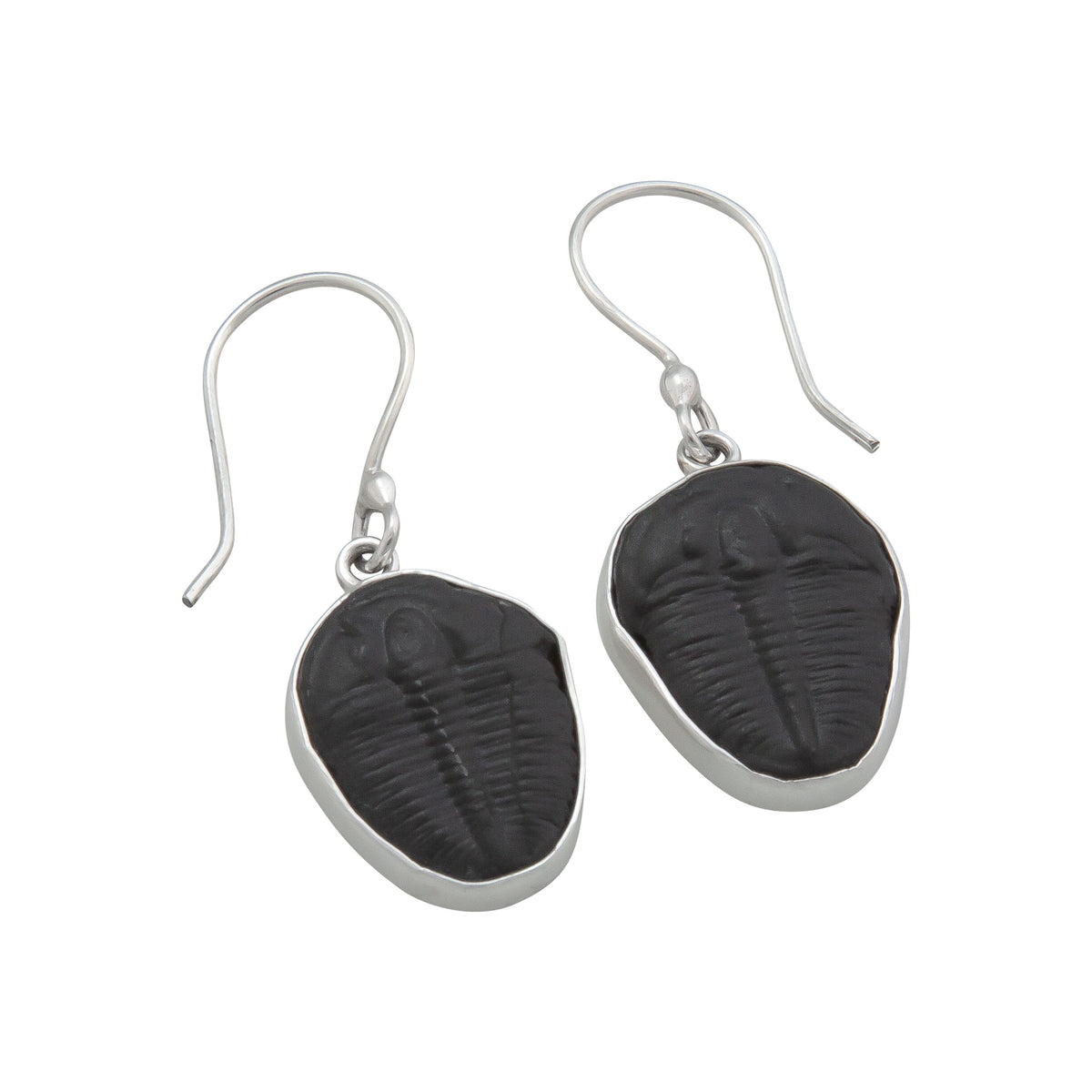 Sterling Silver Trilobite Drop Earrings | Charles Albert Jewelry