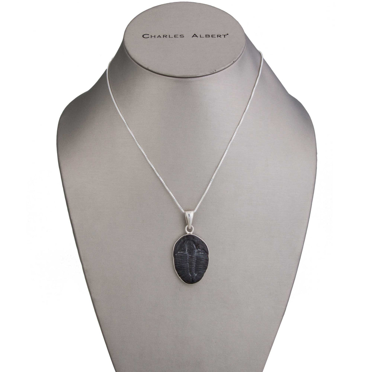 Sterling Silver Trilobite Pendant | Charles Albert Jewelry