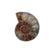 Sterling Silver Ammonite Adjustable Ring | Charles Albert Jewelry