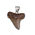 Sterling Silver Fossil Shark Tooth Pendant | Charles Albert Jewelry