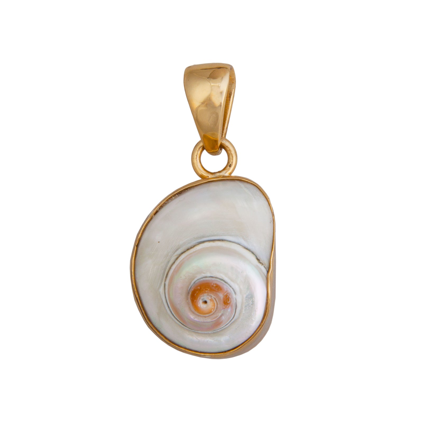 Abalone Venus Bra Shell, Jewellery, Chain, Clam, Bra, Bralette