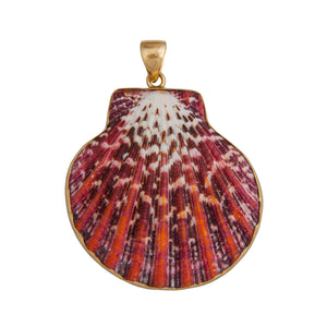 Alchemia Pectin Shell Pendant | Charles Albert Jewelry