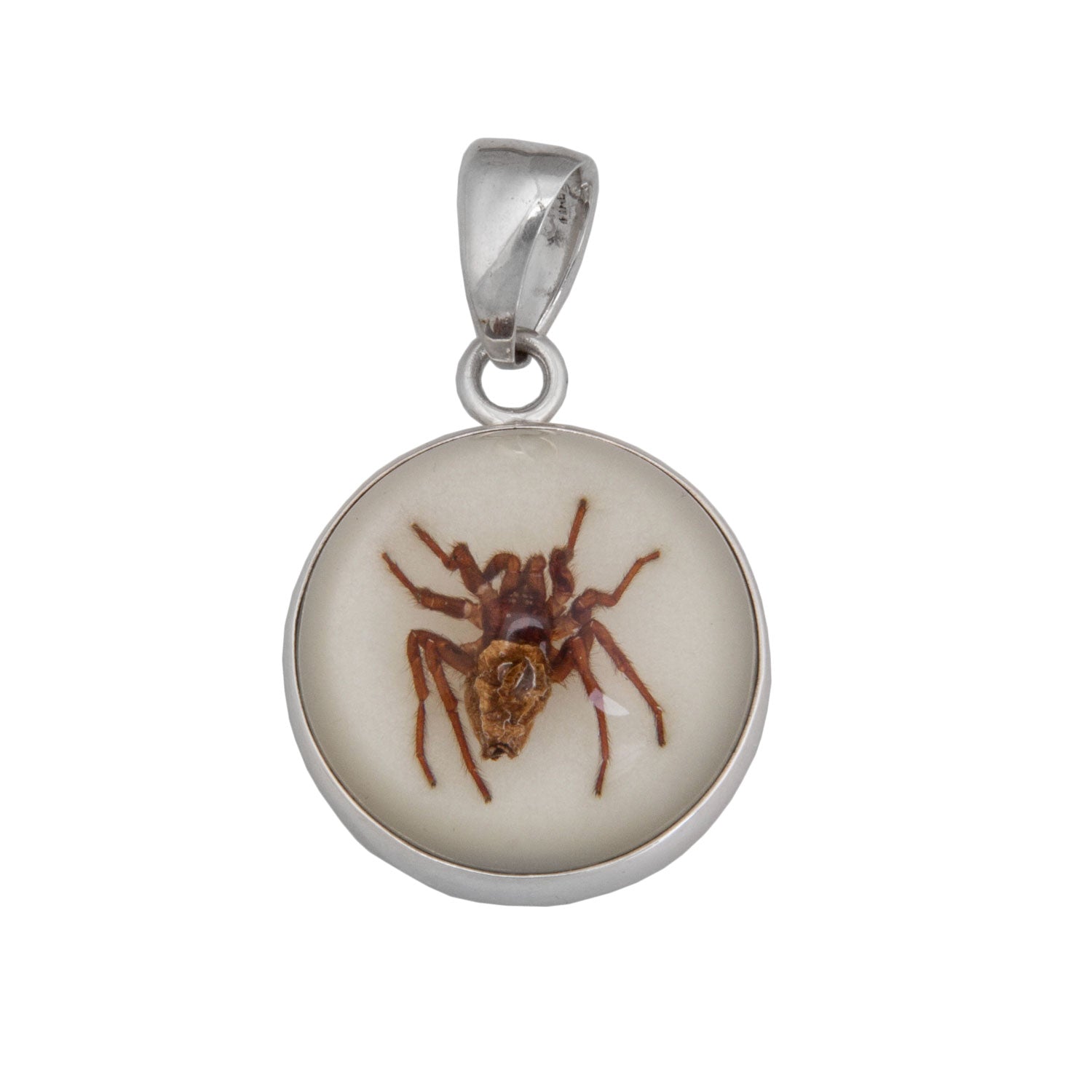 Sterling Silver Glow in the Dark Round Spider Pendant | Charles Albert Jewelry