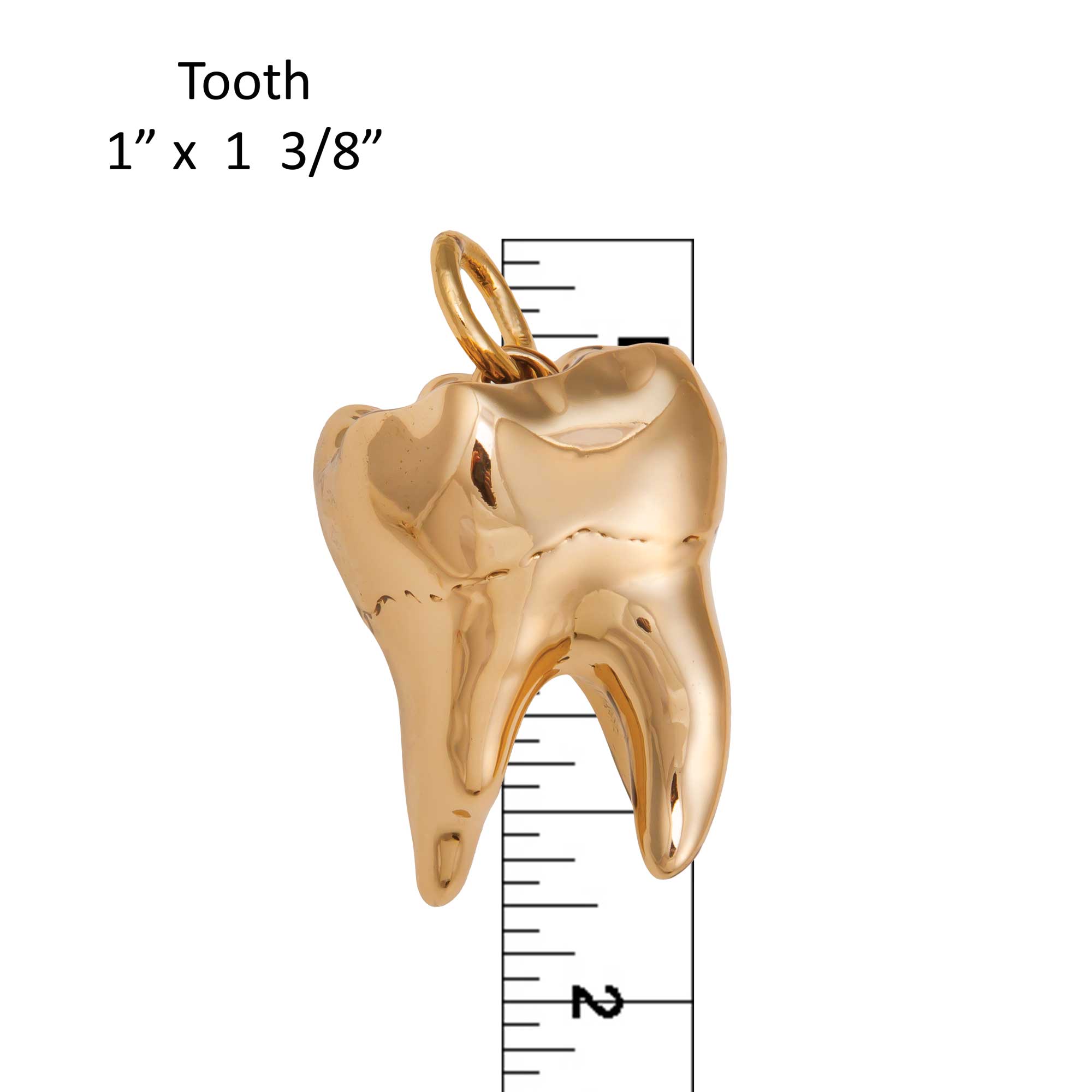 Alchemia Large Tooth Pendant | Charles Albert Jewelry