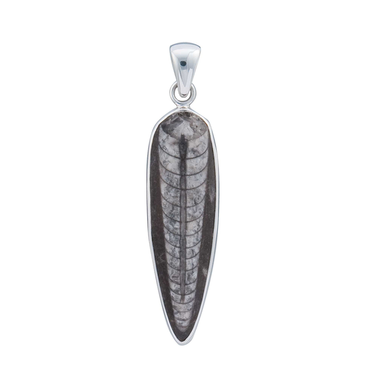 Sterling Silver Orthoceras Pendant | Charles Albert Jewelry