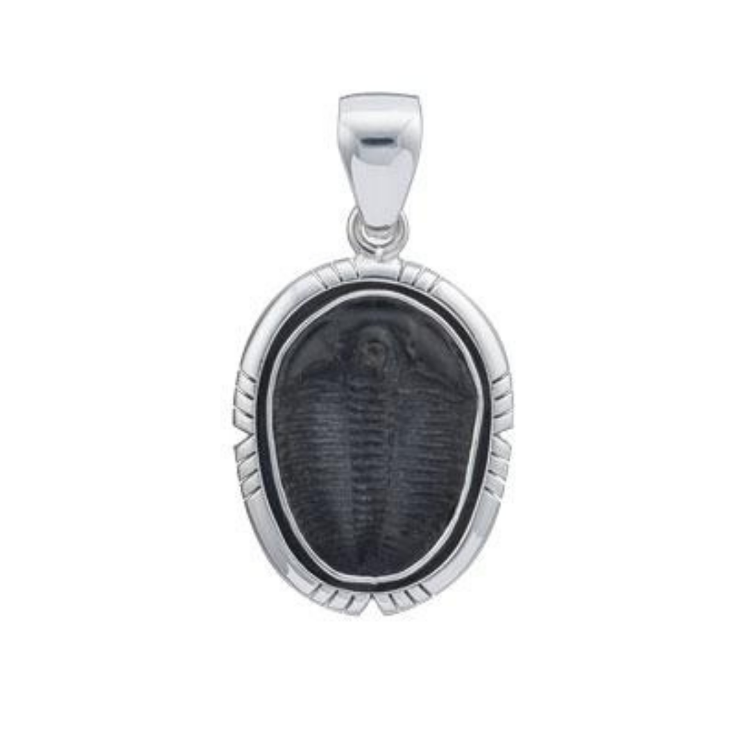 Sterling Silver Trilobite Pendant with Detailed Edge | Charles Albert Jewelry