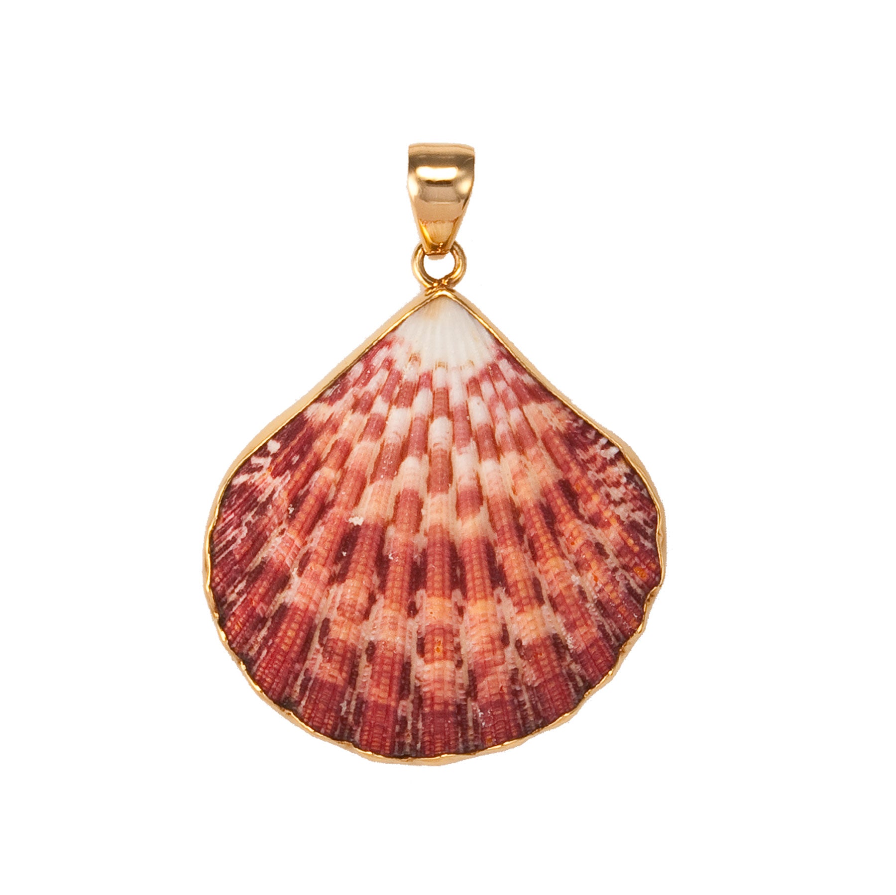 Alchemia Pectin Shell Pendant | Charles Albert Jewelry