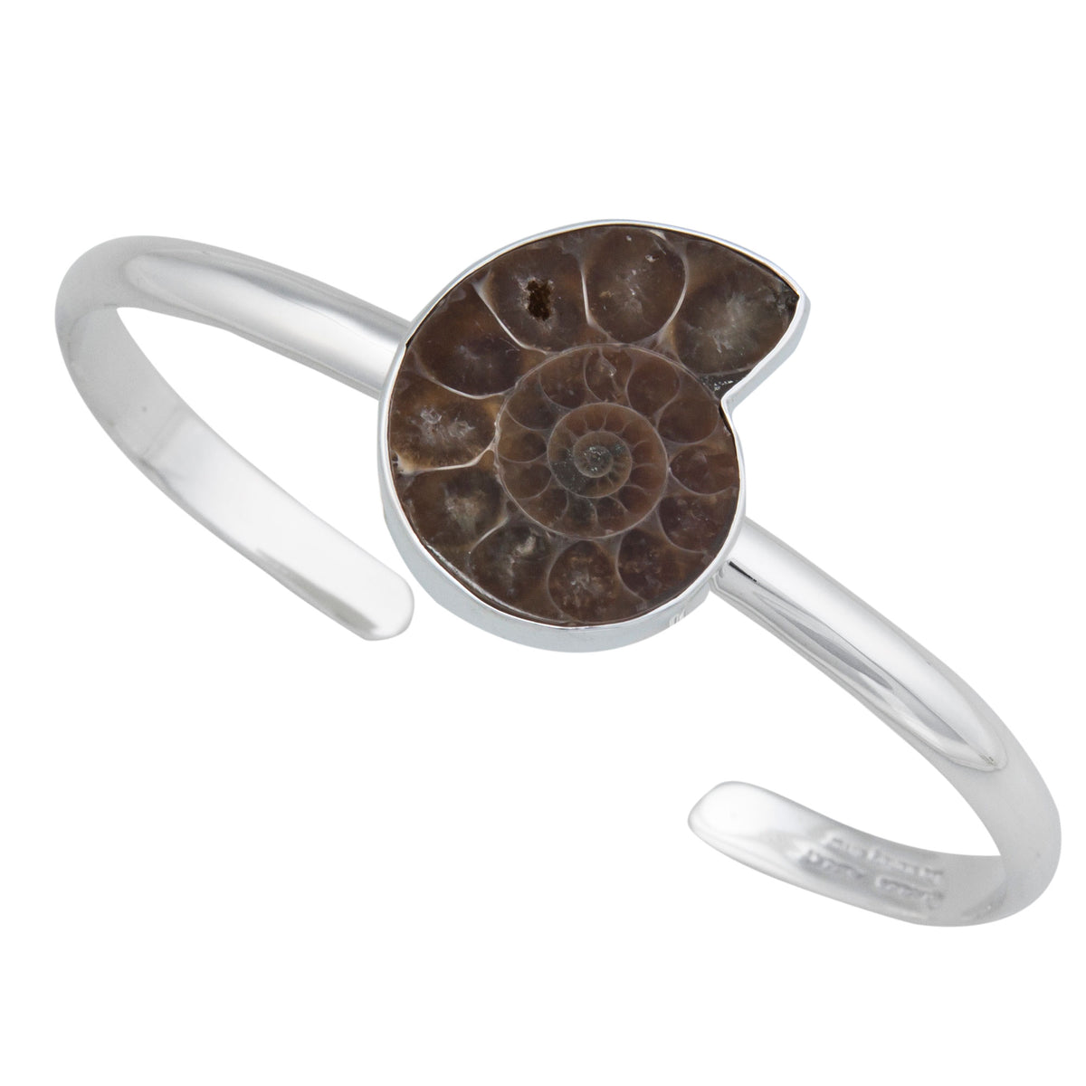Sterling Silver Ammonite Mini Cuff | Charles Albert Jewelry