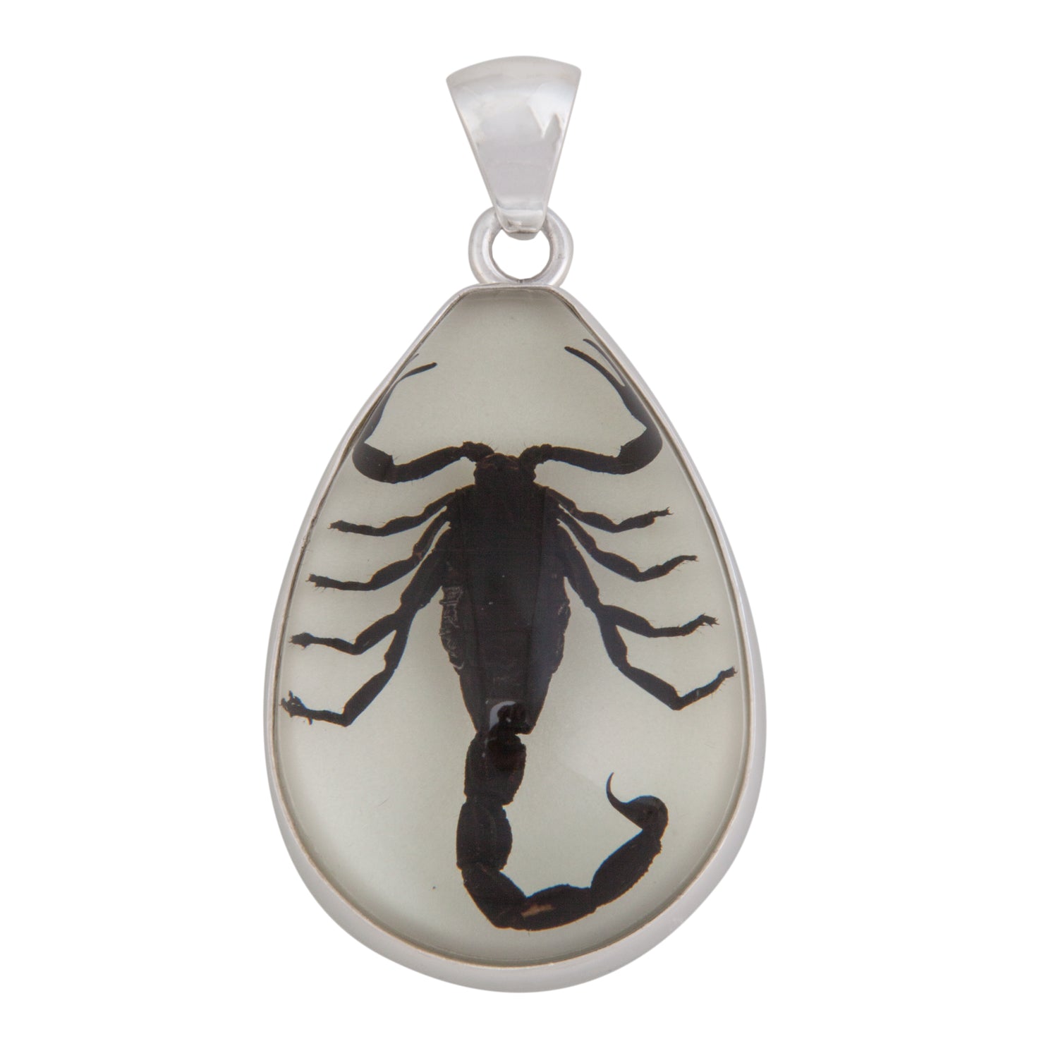 Sterling Silver Glow in the Dark Scorpion Pendant | Charles Albert Jewelry