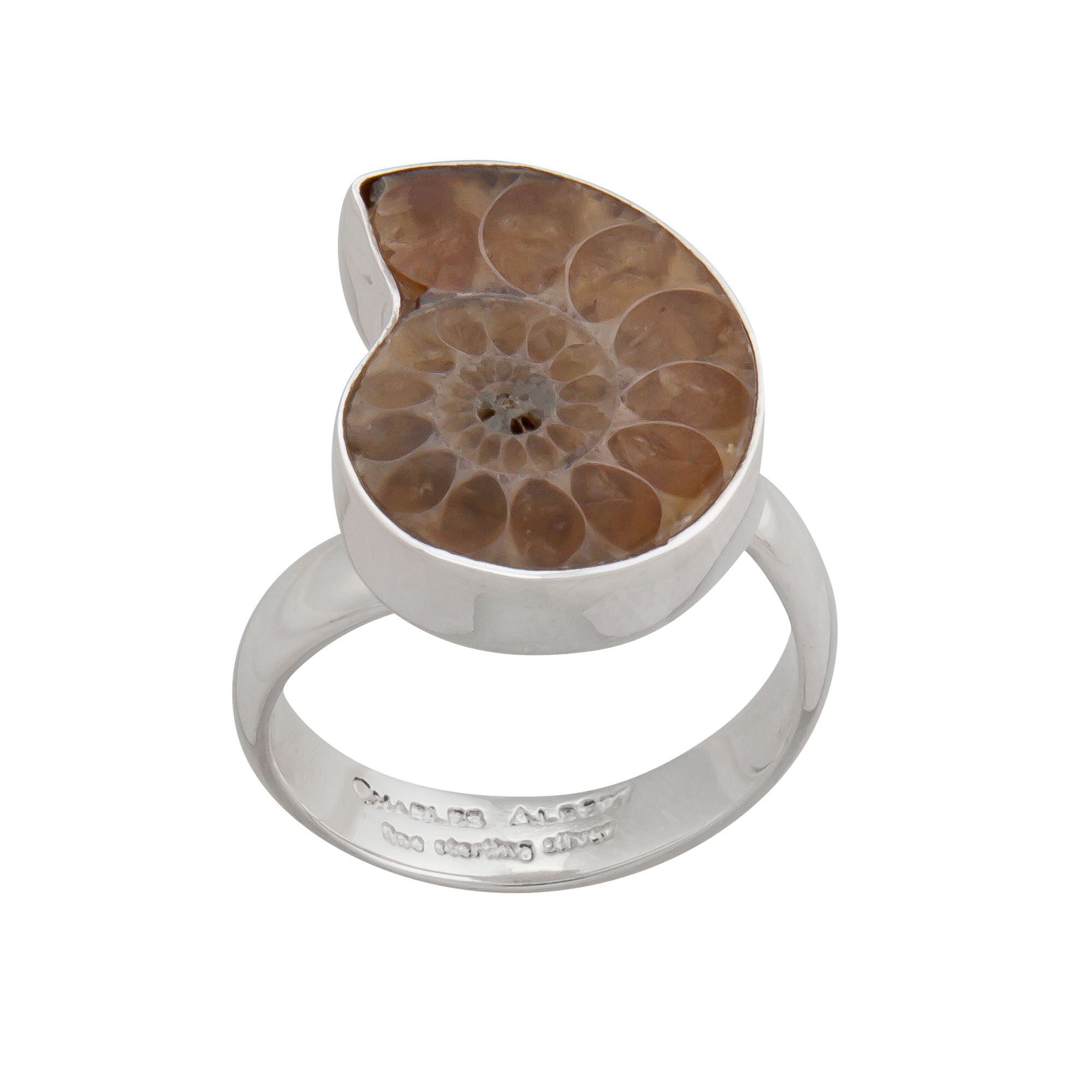 Sterling Silver Ammonite Petite Ring