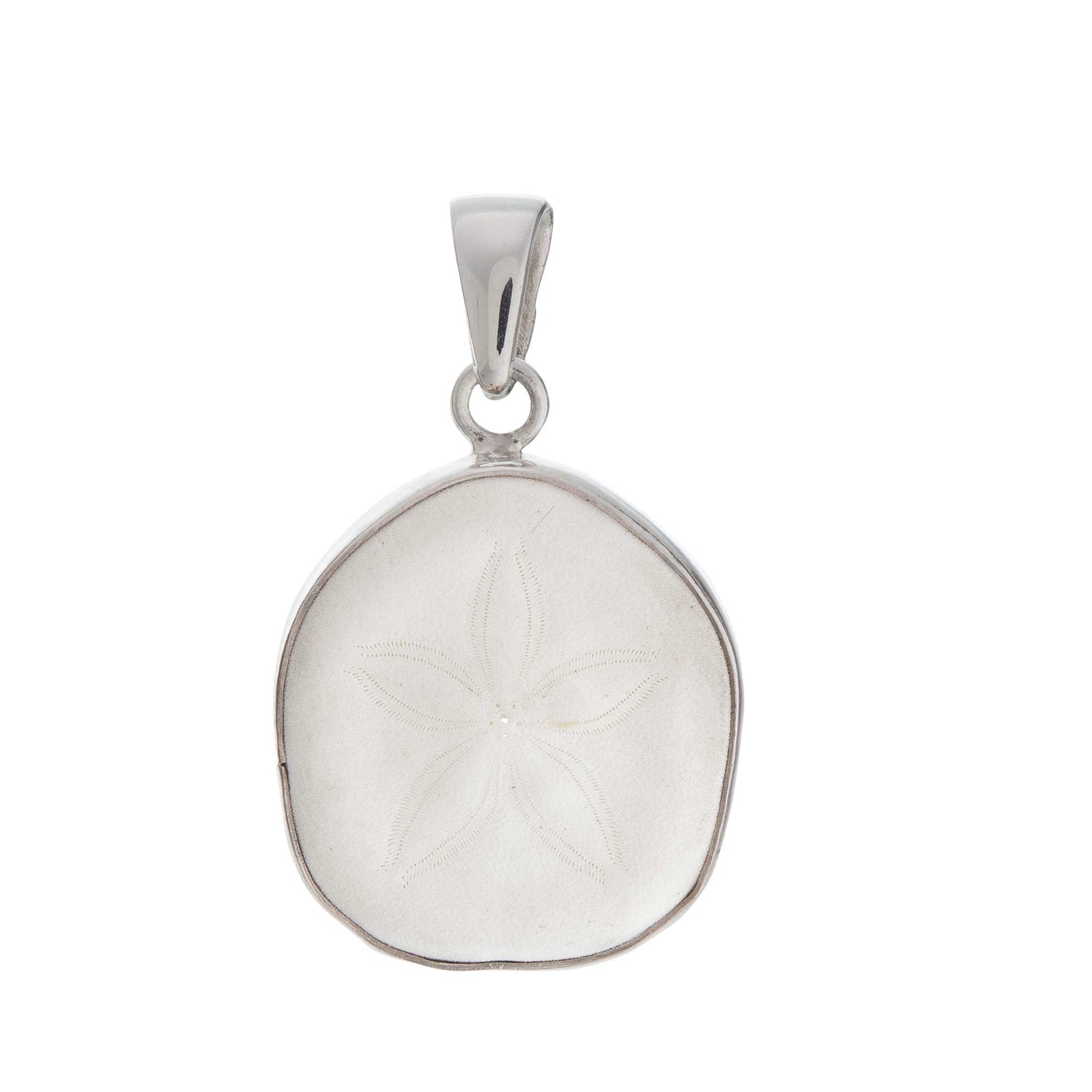 Sand Dollar Pendent Necklace Silver Tone Chain Spring ring Sea Shell Ocean  Beach | eBay