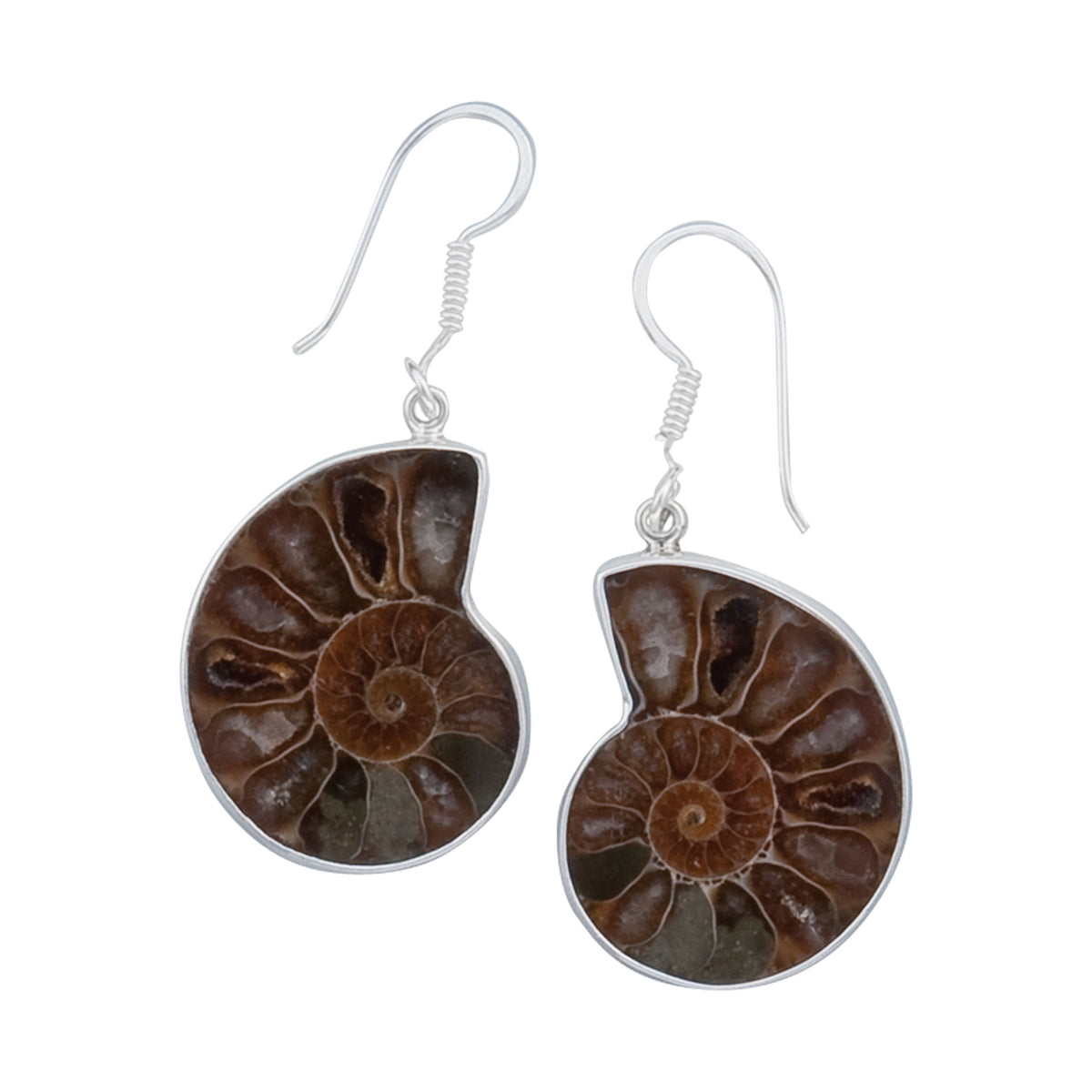 Sterling Silver Ammonite Drop Earrings | Charles Albert Jewelry