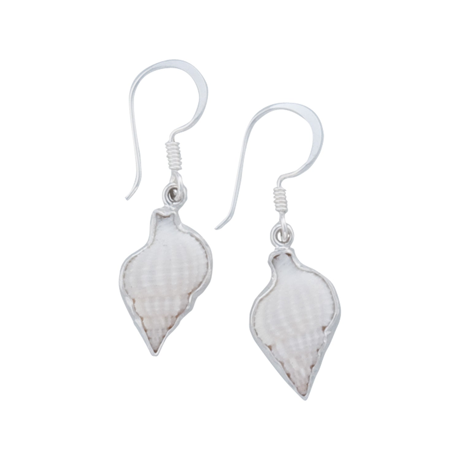Sterling Silver Nassa Clothrata Shell Drop Earrings | Charles Albert Jewelry
