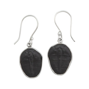 Sterling Silver Trilobite Drop Earrings | Charles Albert Jewelry