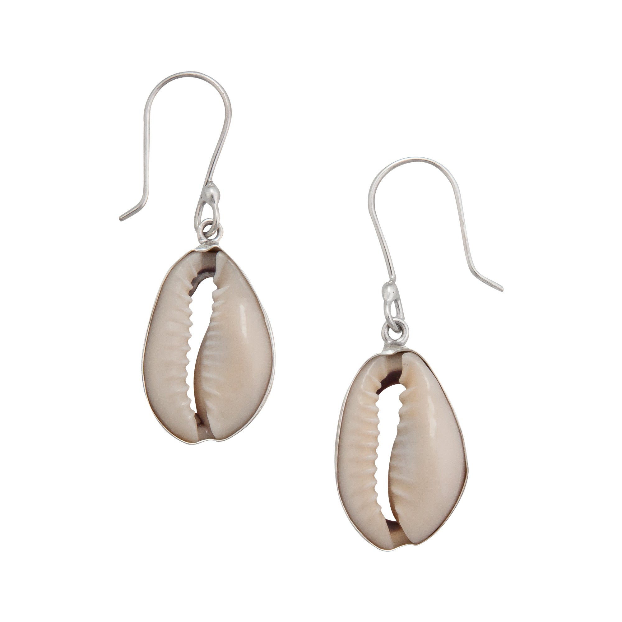 Sterling Silver Cowrie Shell Earrings | Charles Albert Jewelry
