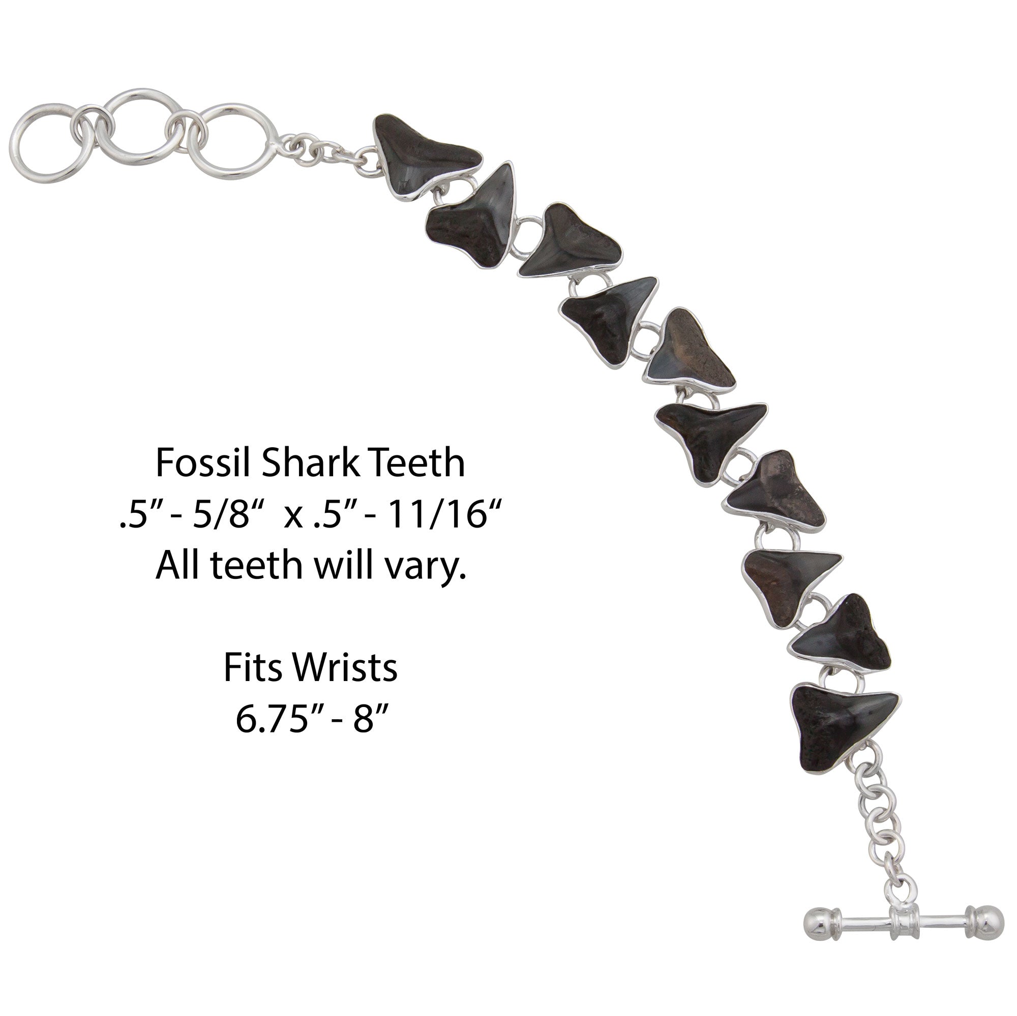 Four Human Teeth Bracelet by Defy / Adjustable Cuff Jewelry. - Shop defy  Bracelets - Pinkoi