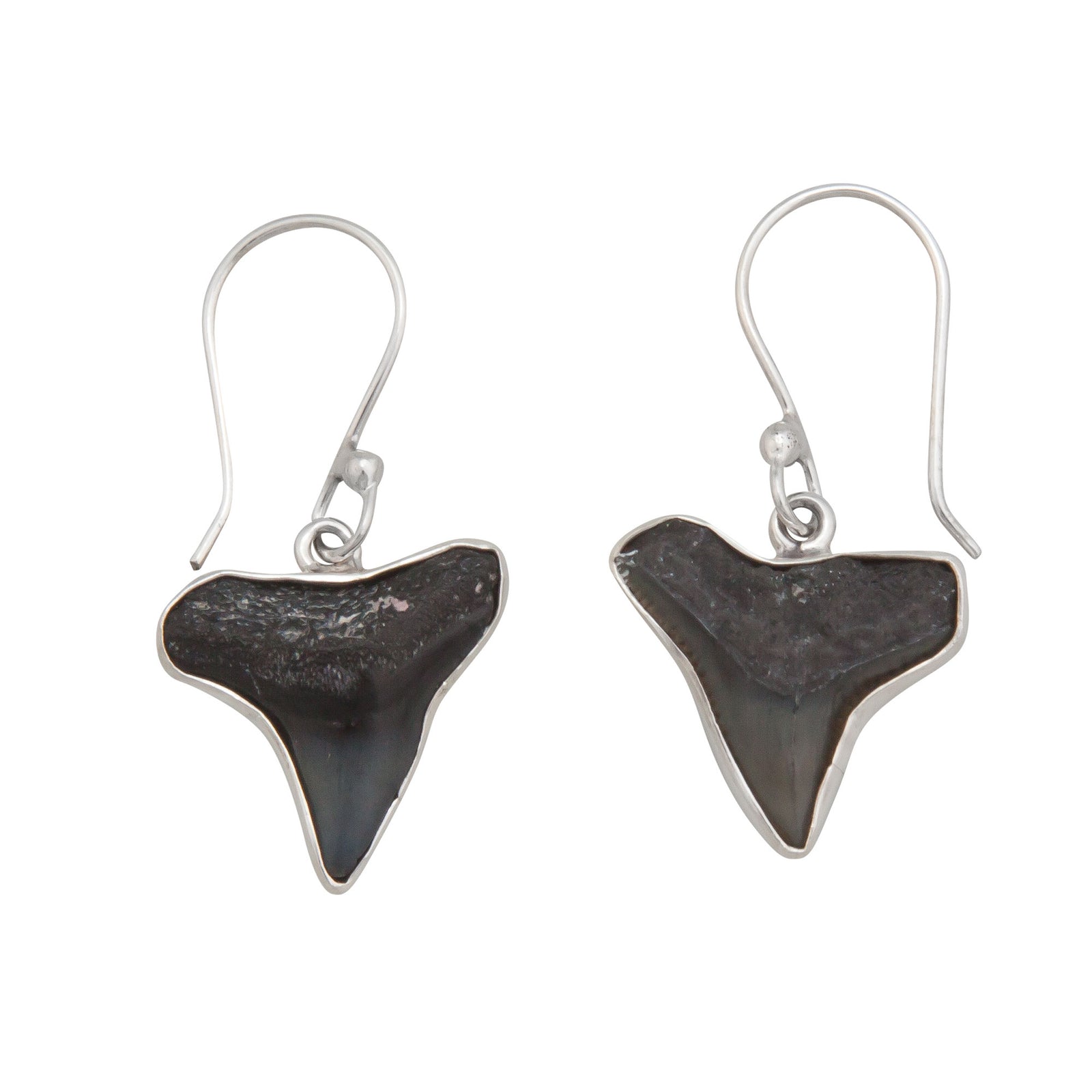 Sterling Silver Fossil Shark Teeth Drop Earrings | Charles Albert Jewelry
