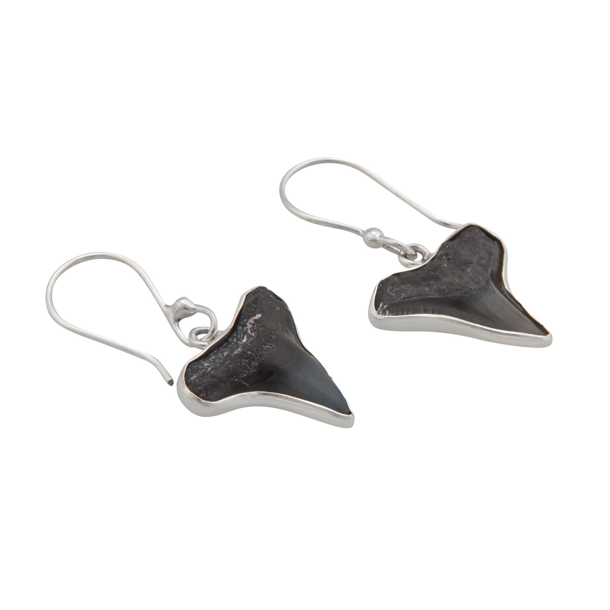Sterling Silver Fossil Shark Teeth Drop Earrings | Charles Albert Jewelry