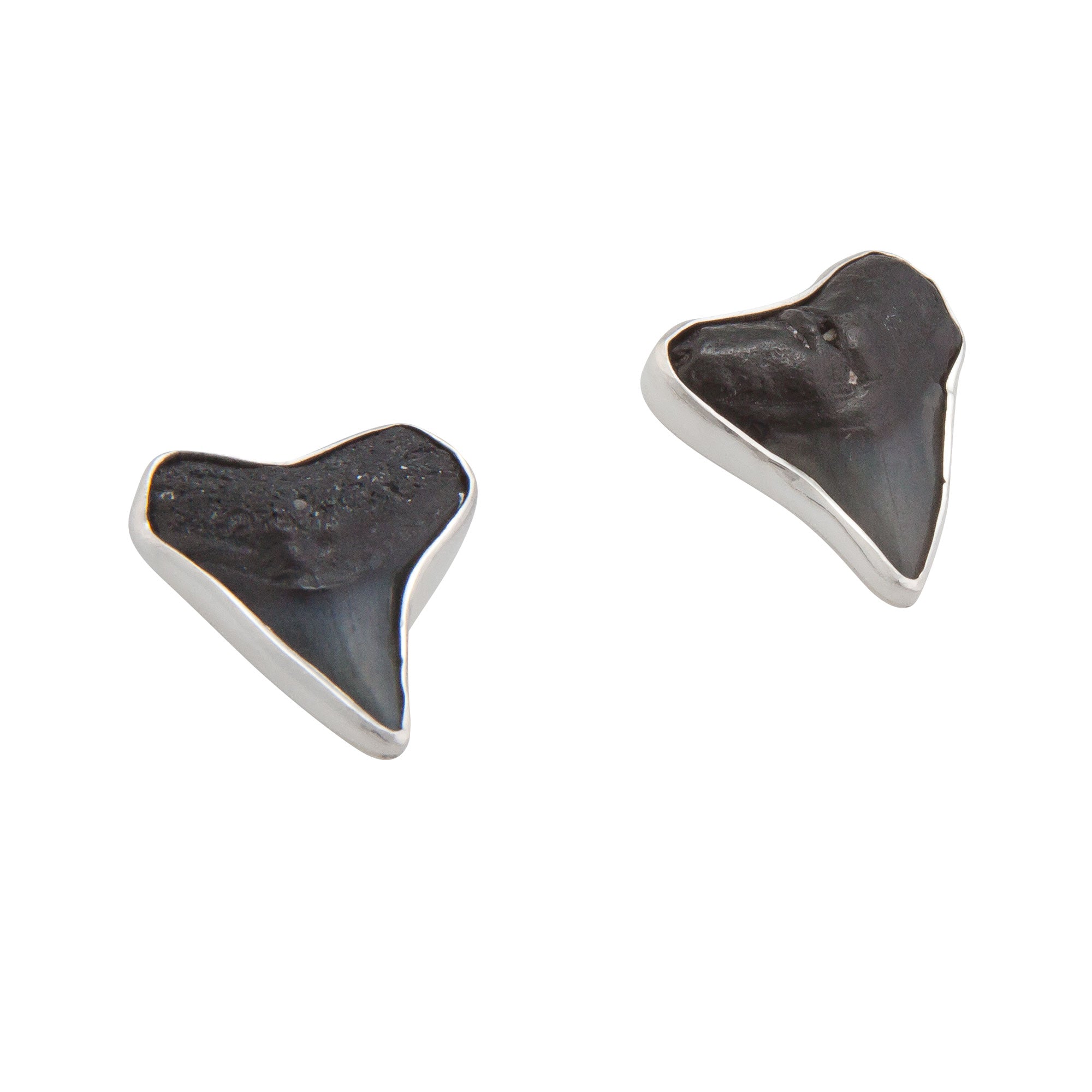 Sterling Silver Shark Teeth Post Earrings | Charles Albert Jewelry