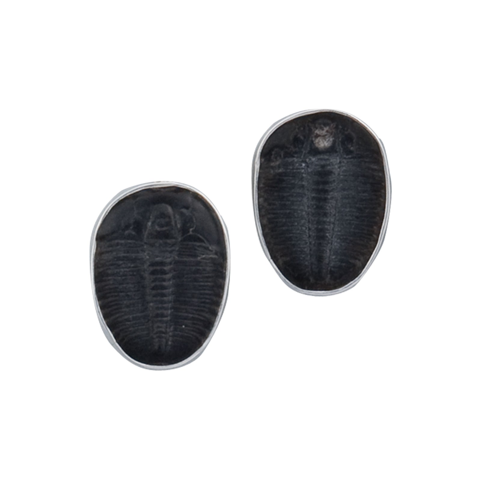 Sterling Silver Trilobite Clip Earrings | Charles Albert Jewelry