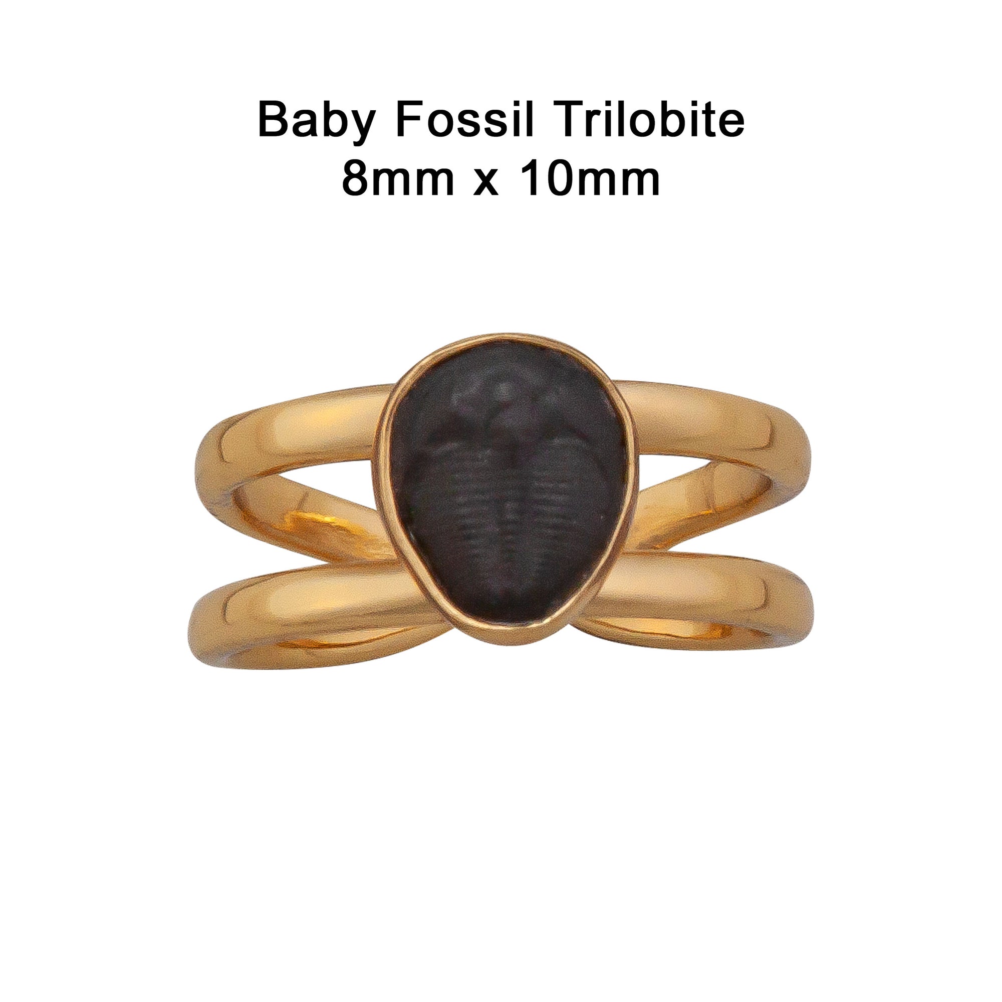 Alchemia Baby Trilobite Cuff Ring | Charles Albert Jewelry