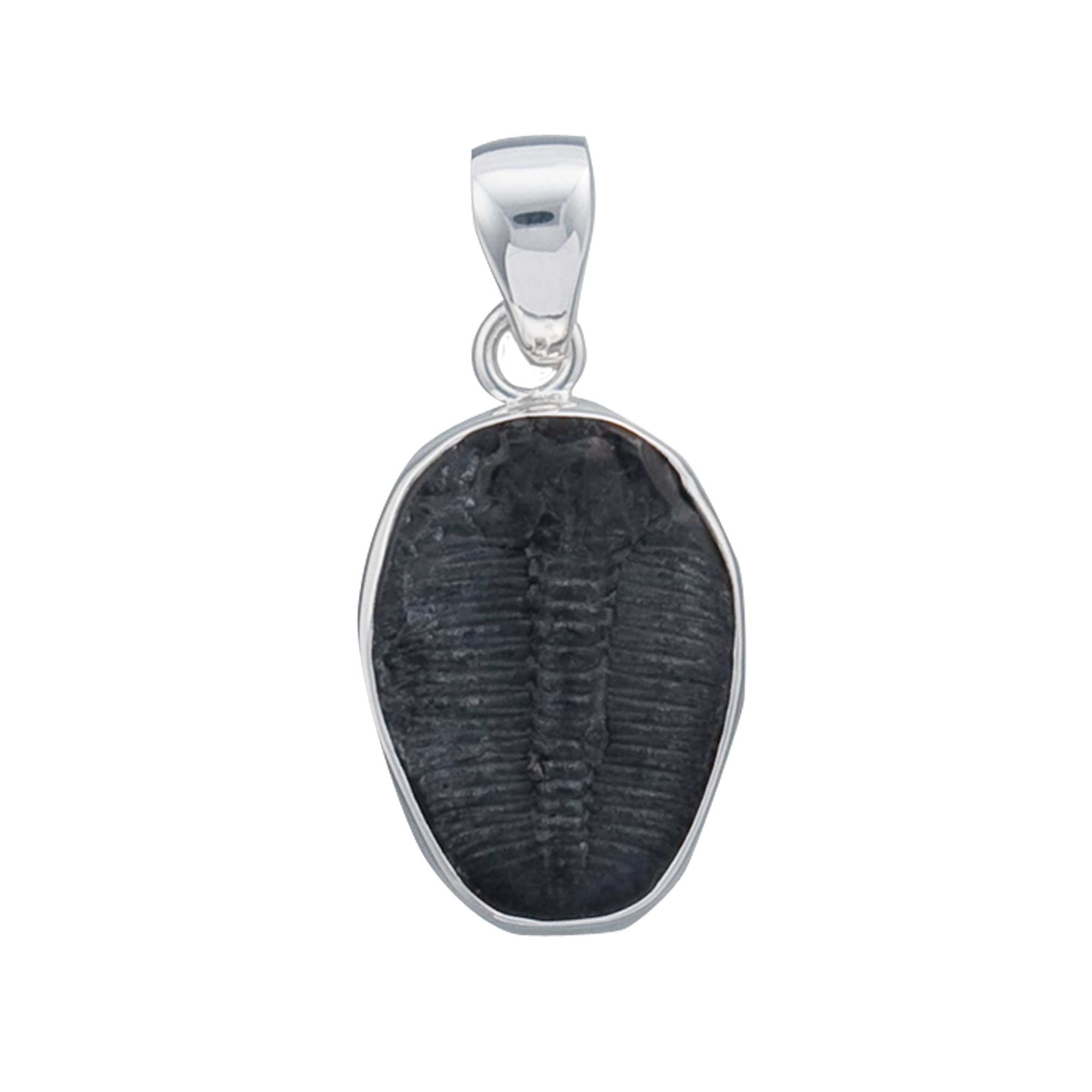 Sterling Silver Trilobite Pendant | Charles Albert Jewelry