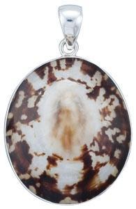 Sterling Silver Limpet Shell Pendant | Charles Albert Jewelry