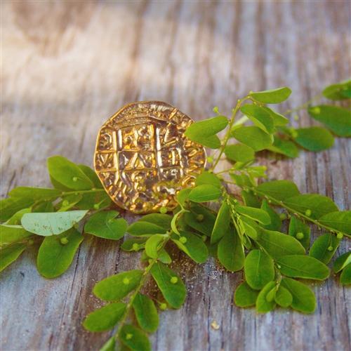 Alchemia Replica Treasure Coin Adjustable Ring | Charles Albert Jewelry
